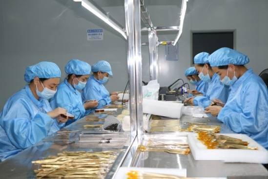 建設(shè)50億級(jí)產(chǎn)業(yè)集群 郟縣傾力打造中部地區(qū)知名醫(yī)用耗材產(chǎn)銷地