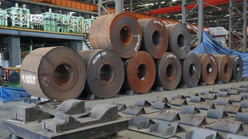 我在民眾過(guò)年,想對(duì)我的家人說(shuō)......