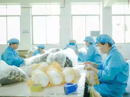 抗擊疫情 巾幗同行 致敬漠陽(yáng)最美逆行者